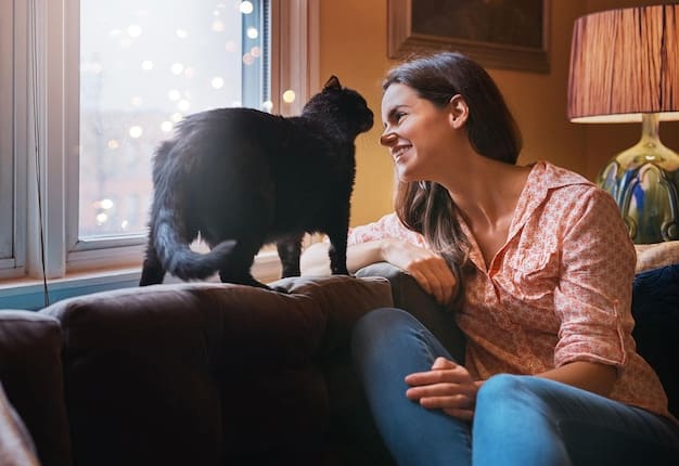 A cat being cuddled by a pet sitter in a cozy living room, showcasing the personalized attention provided by pet sitters.