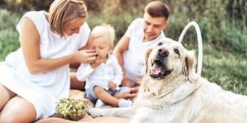 New Pet Owner Discounts: Save Money on Initial Vet Visits & Supplies - Cover Image