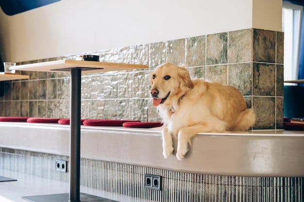 Maximize Your Pet’s Health Savings Account: A Guide to Tax Benefits