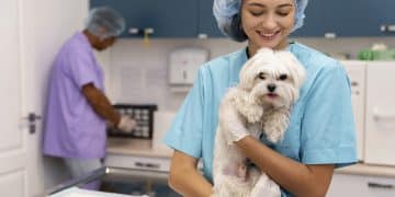 Stop Counter Surfing: Train Your Dog for Calm Kitchens