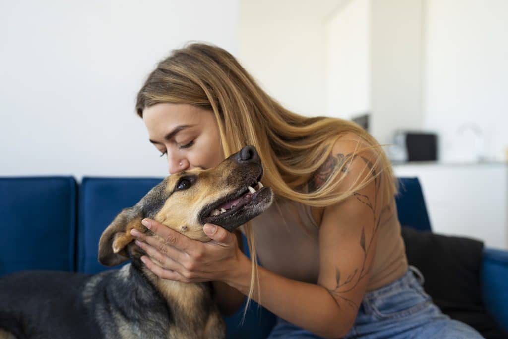 Pet gut health and mood