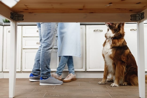 A dog standing calmly behind a baby gate, looking towards an empty kitchen counter, demonstrating effective environmental management.