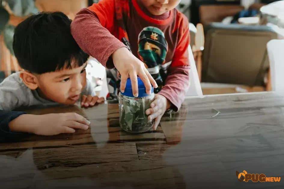 Atividades práticas para ensinar finanças pessoais Atividades práticas para ensinar finanças pessoais