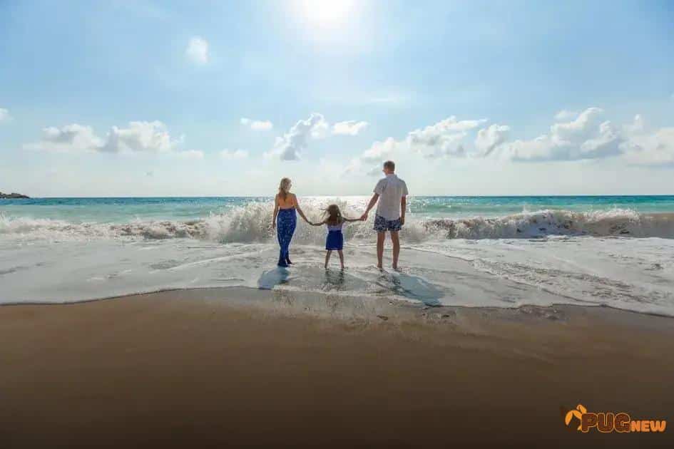 Choosing the Right Life Insurance Plan