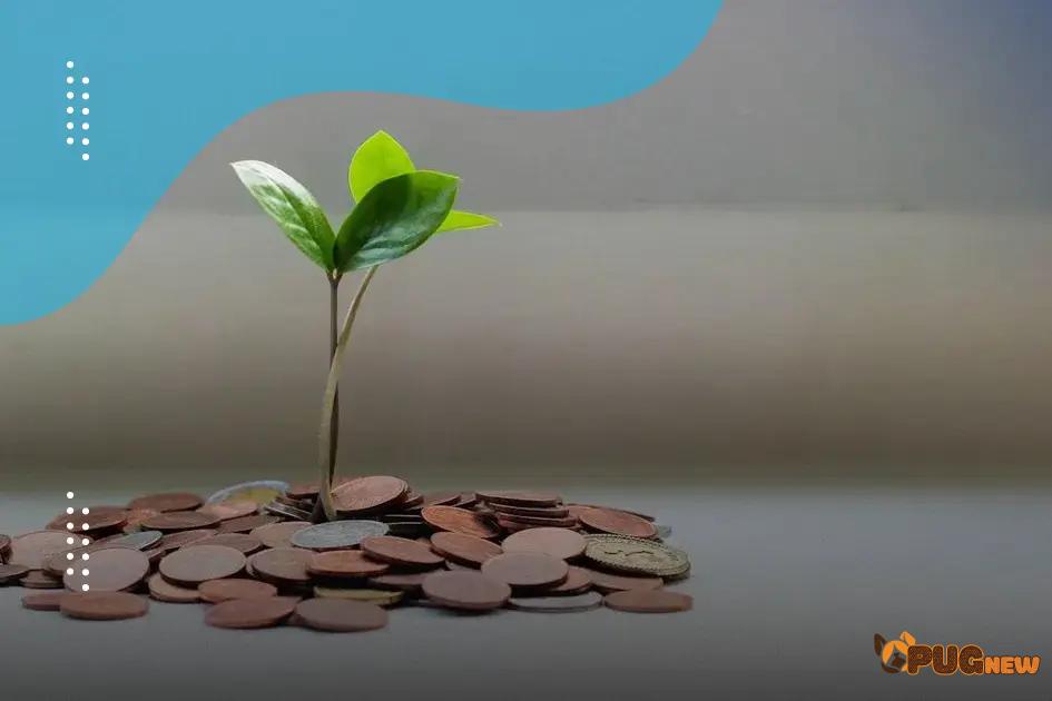 How to Secure the Best Home Loan Rates How to Secure the Best Home Loan Rates