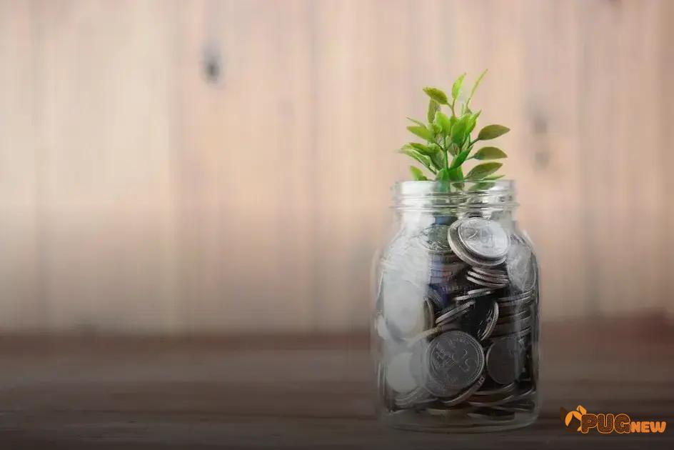 Taking the First Steps to Invest