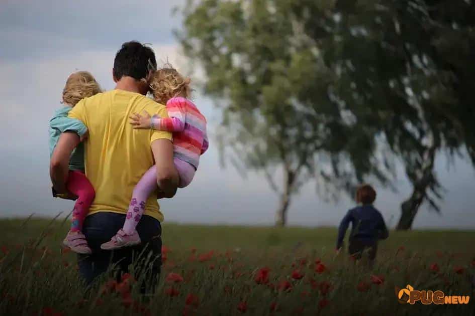 Top Life Insurance Providers in 2024